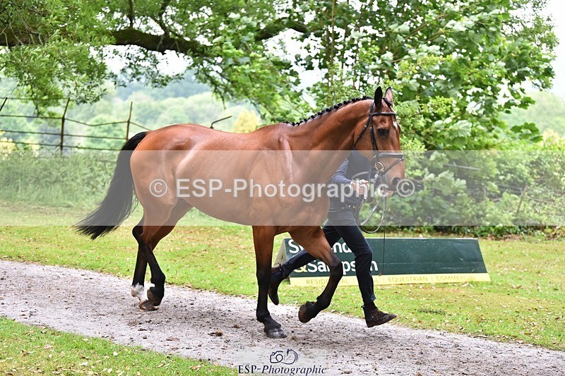 240522-170940-01430 - 241-CLASS_ROMANCE-Jack_Pinkney