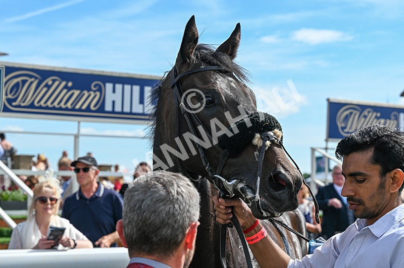 230526-Race 5-Reliable Ricki-7631 - Race 5 15.50pm Reg Bond 'Always And Forever' Handicap