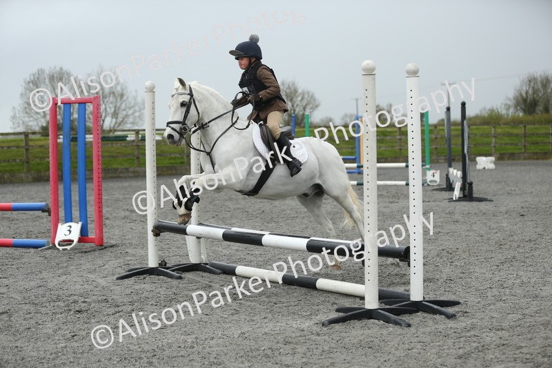 20260412-1873 - Show Jumping