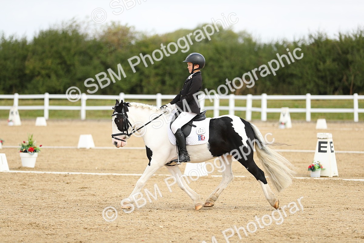 SBM_016338 - Class 13 - Novice 23 - 11.25-12.35