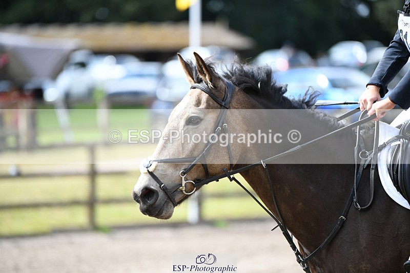 240825X-121256-32809 - 70cm SJ 11.40 to 12.30