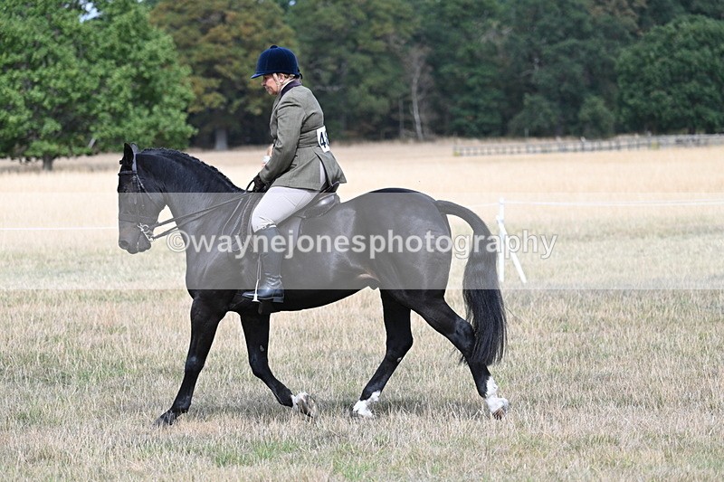 WJ7_5854 - Class 13 Ridden Veterans