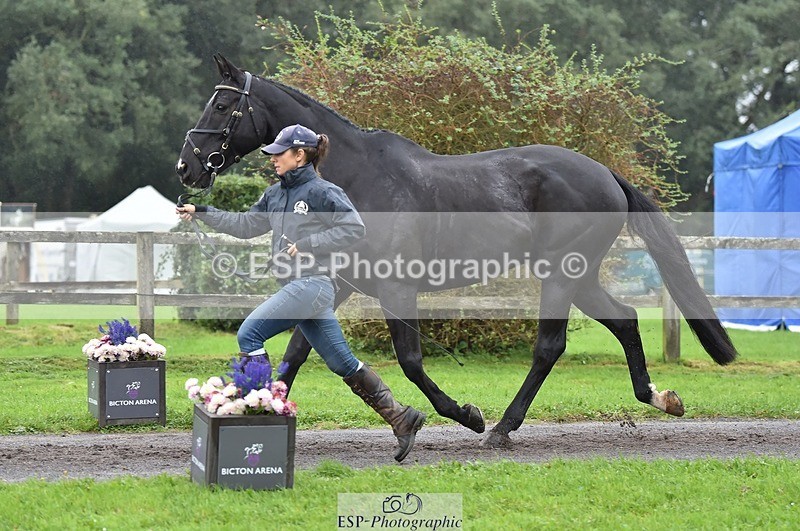 231018-122742-00307 - 037-MISTER.KAI-Hani.Milstein-TrotUp