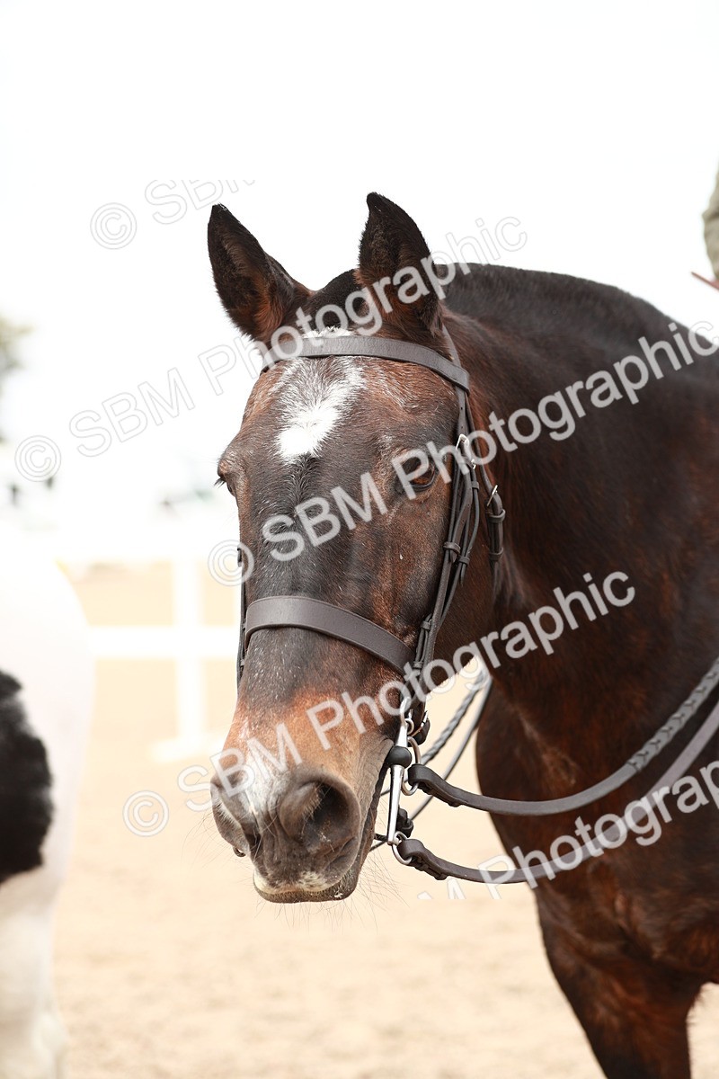 SBM_16726 - Class 214 Ridden Cob