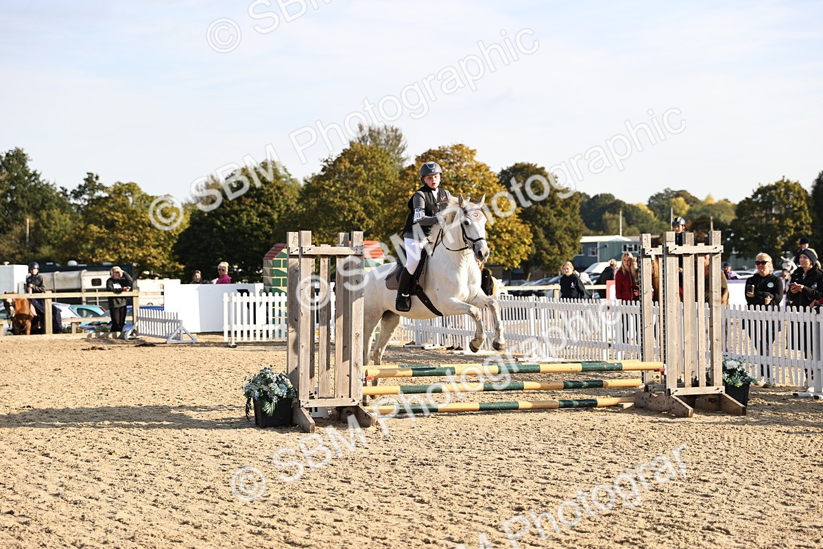 SBM_59564 - J11 - Junior Pony 50cm Championship