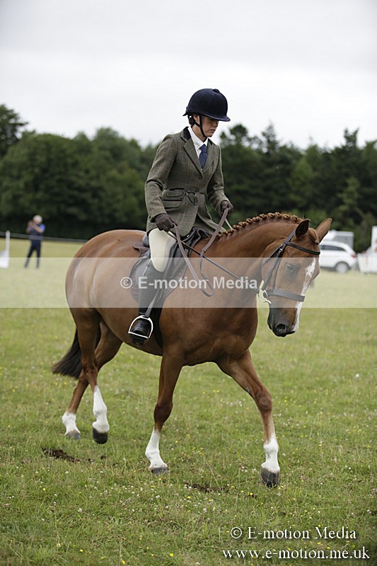 BVR160717-1036 - Ring 1 BVRC Show 16/07/17