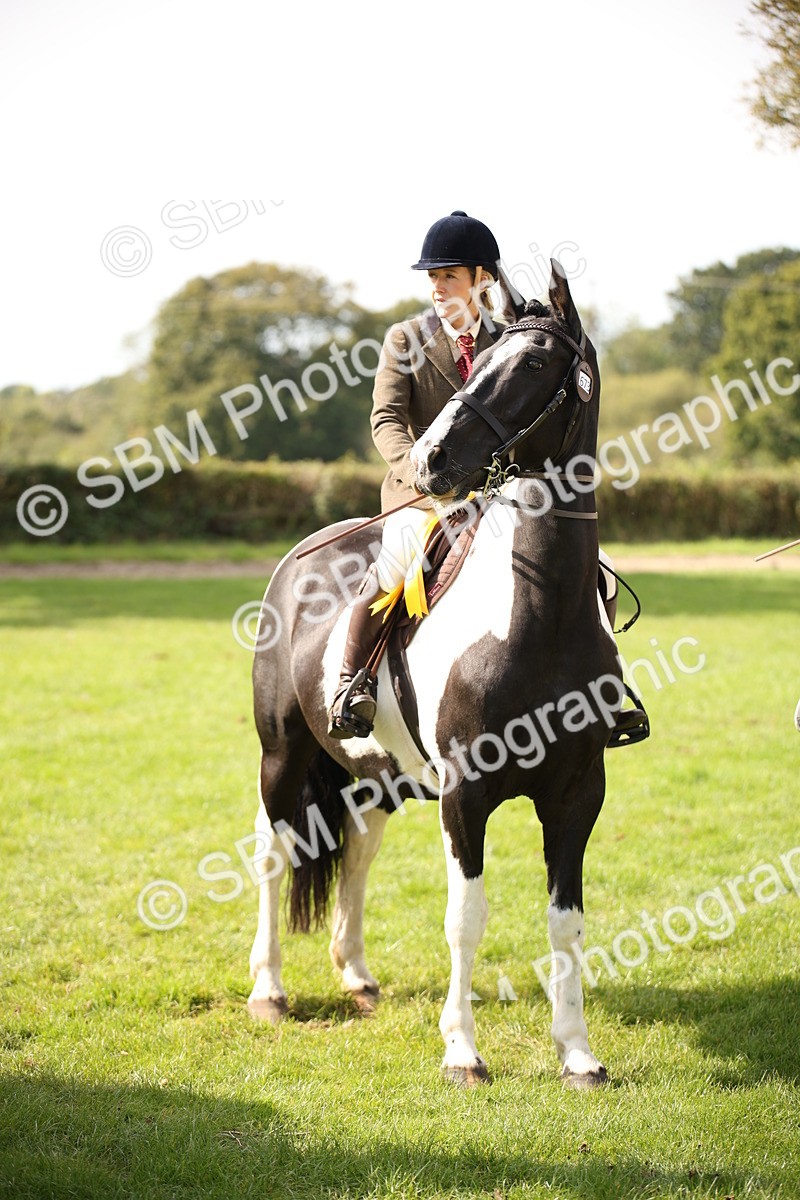 SBM_70157 - S65 - Piebald & Skewbald Horse Ridden