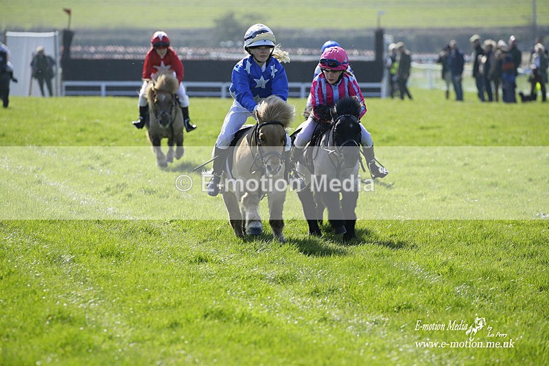 PtP 190322 6 - Wilton Hunt PtP Milborne St Andrew 19/03/22