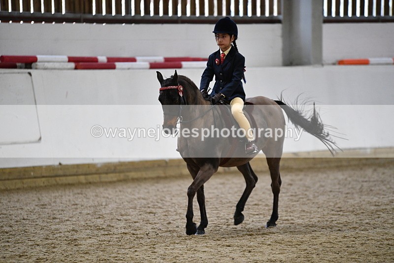 WJ5_6936 - Class 10 Childs Pony