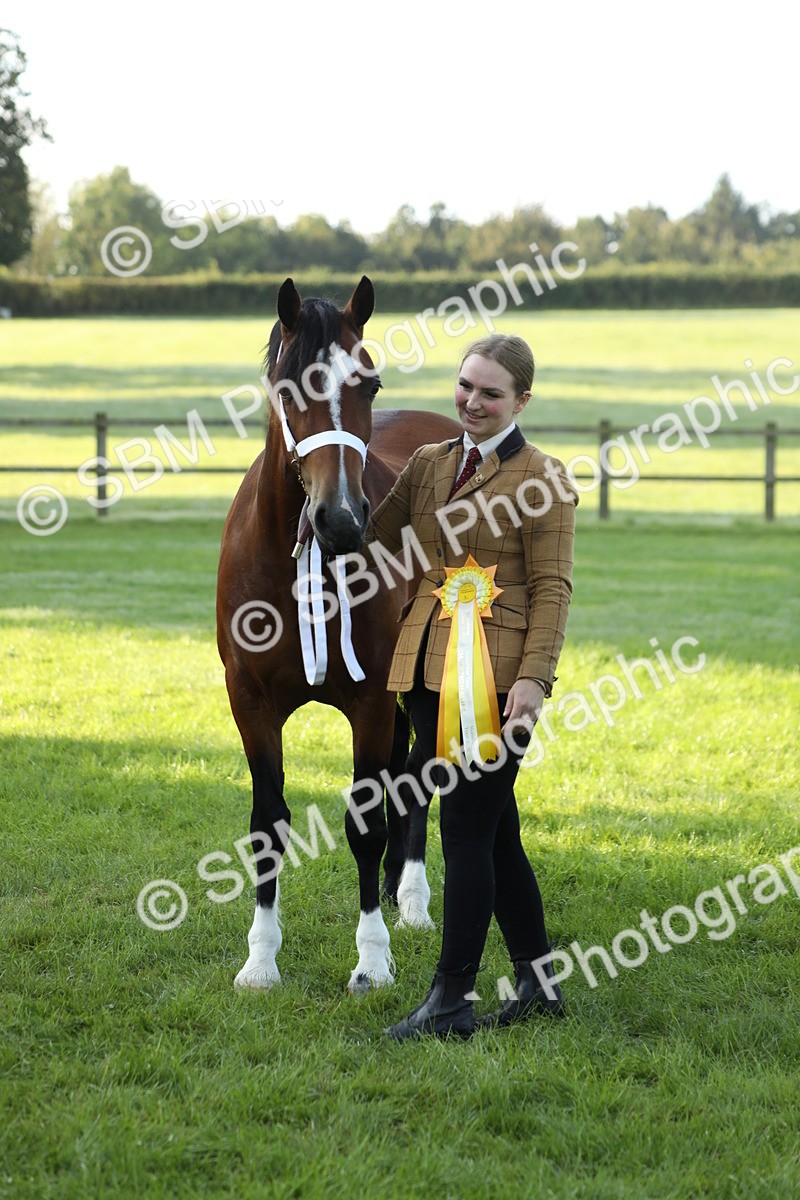 SBM_57981 - S42 - Youngstock