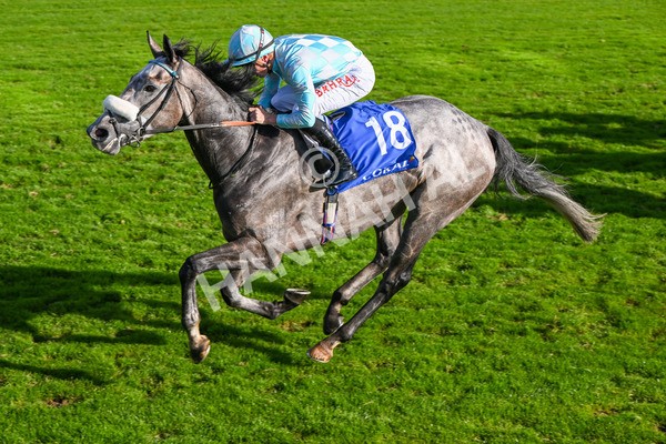 111025-Race 4-Binhareer-8846 - Race 4 Coral Sprint Trophy Handicap at York