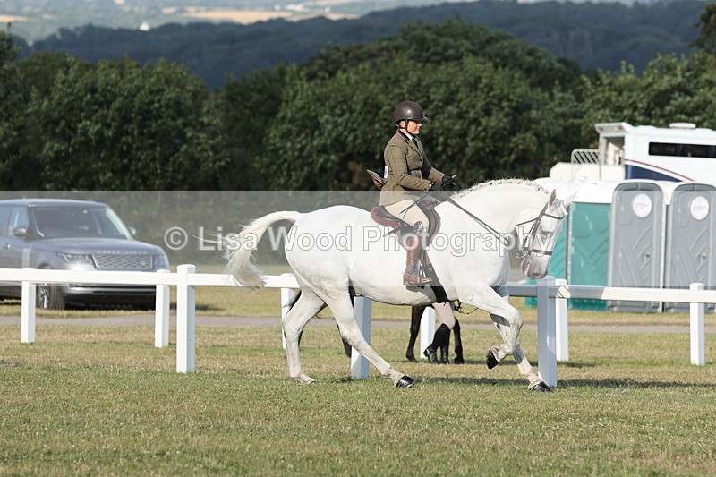 JPP_3520 - Class 22: Working Hunter 90cm