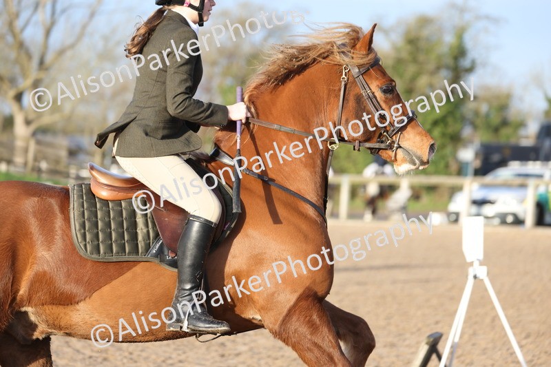 20251214-0084 - Class 1 - 60cm