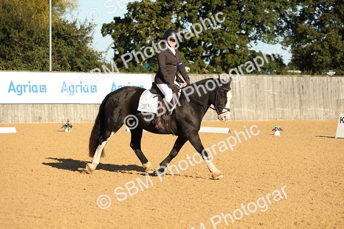 SBM_16359 - D10 - Small Tour Championship - Prelim 2