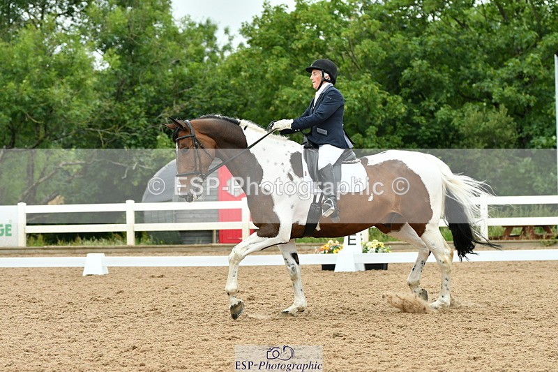 230630A-110547-00641 - Cls 9+12 Music Elementary + Medium