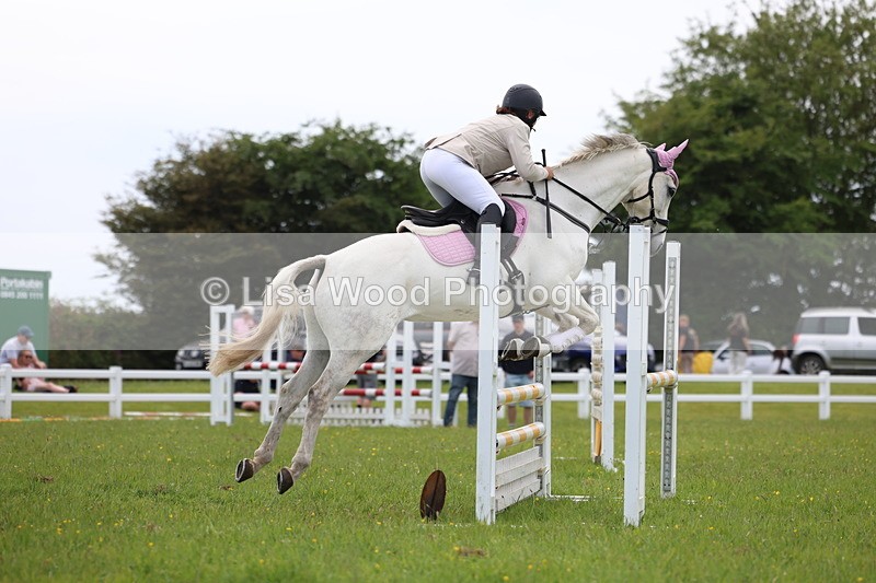3E7A1756 - Class 13: Senior British Novice/90cm open