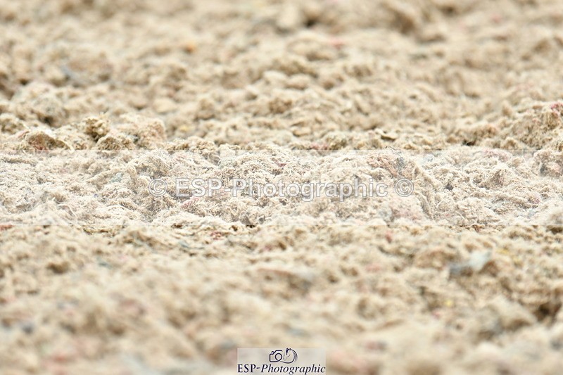 230701A-101912-04516 - Cls 2 Prelim 19