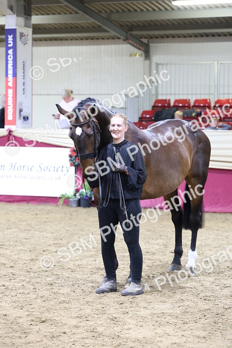 SBM_20533 - Class G - IH Large (over 148cm)Champ
