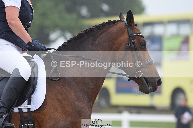 230708A-144810-03128 - Novice 24