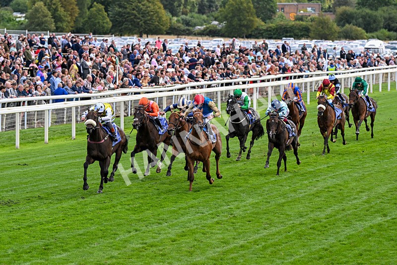 210826-Race 3-Arapaho Gold-0182 - Race 3 15.00pm Al Basti Equiworld Dubai Gimcrack Stakes