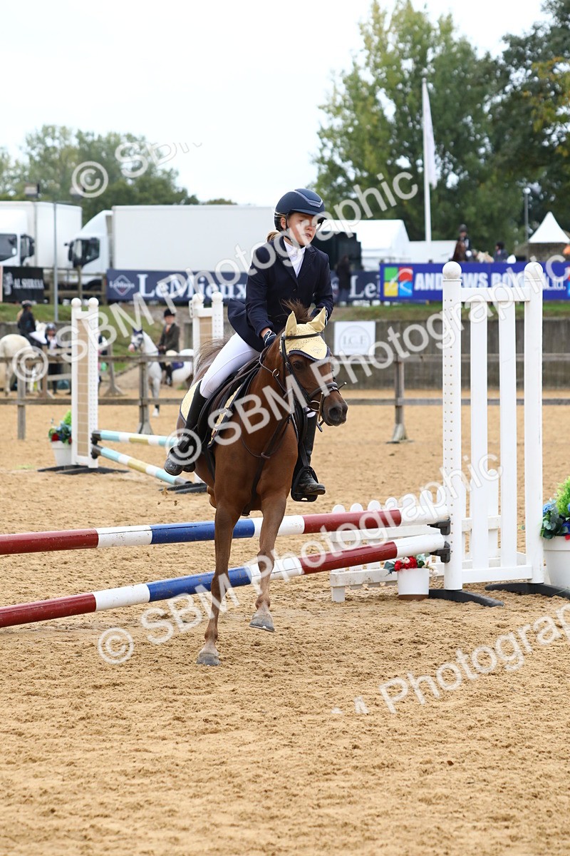 SBM_60138 - J63 - Junior Pony 50cm Championship