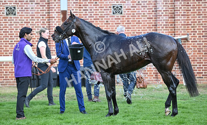 220826-021 Ridari - Race 1 13.50pm Sky Bet Strensall Stakes