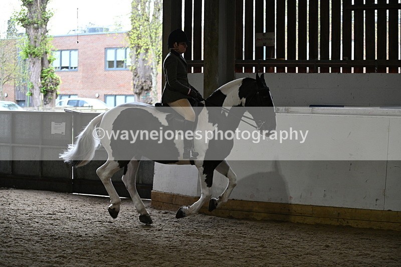 WJ7_3819 - Class 17 Ridden Cob