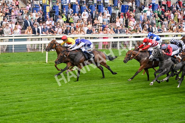 250725-Race 1-Pressures On - Quest For Fun-5354 - Race 1 5.30pm eventmasters.co.uk Handicap