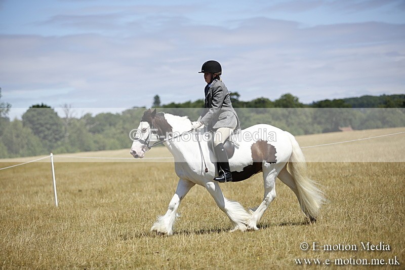 _C7A9906 - BVRC Show 2018 Ring 1