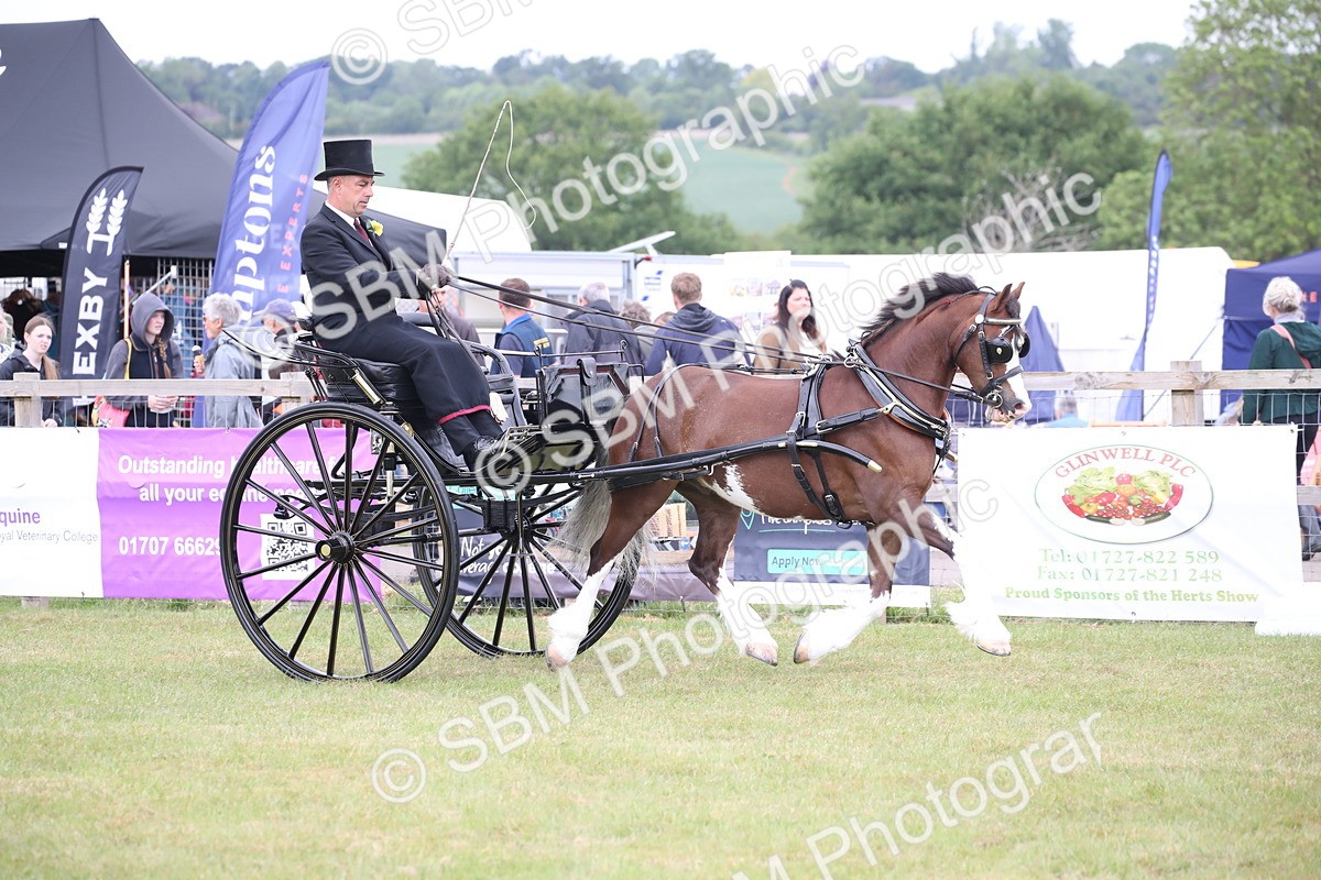 SBM_05828 - Class 12-15 - HOYS Private Driving