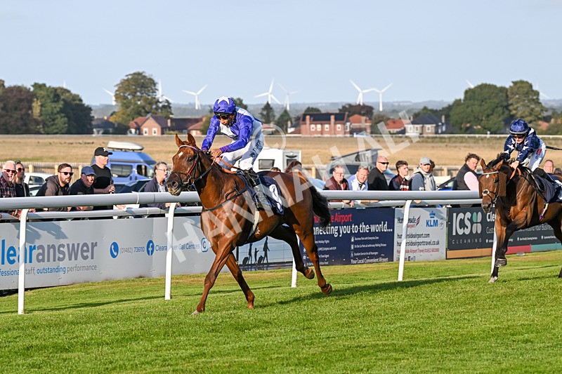 180924-Race 8-Inappropriate-5399 - Race 8