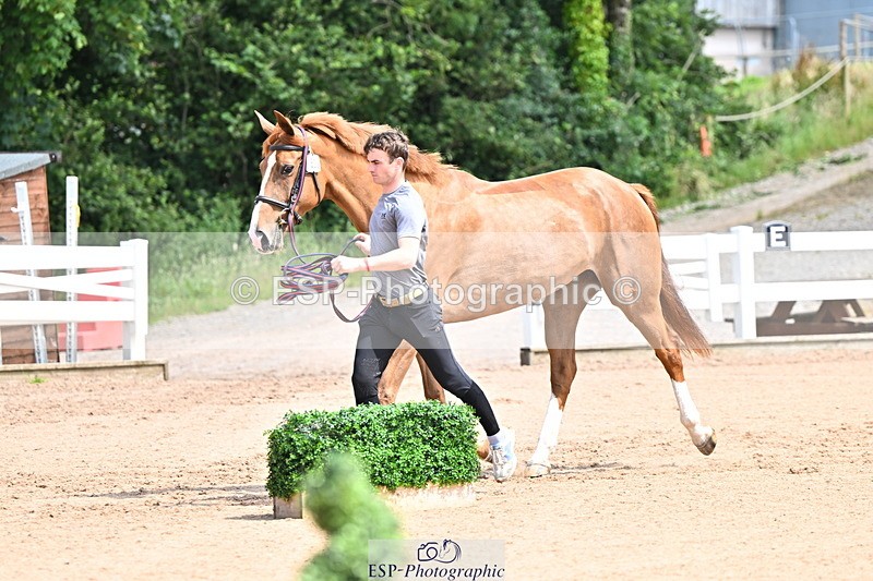 240718A-105248-01175 - Trot Up 12pm to 1pm