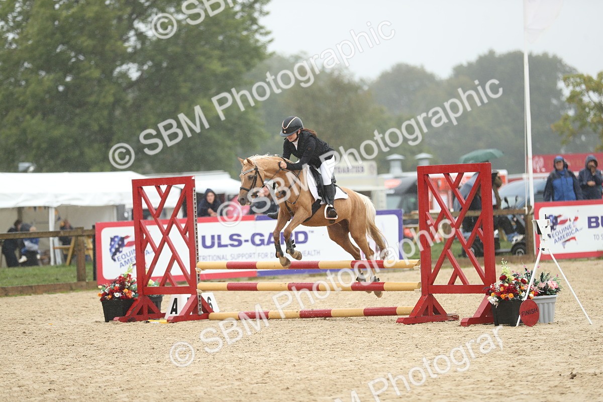SBM_73926 - J16 - Junior Pony 75cm Championship