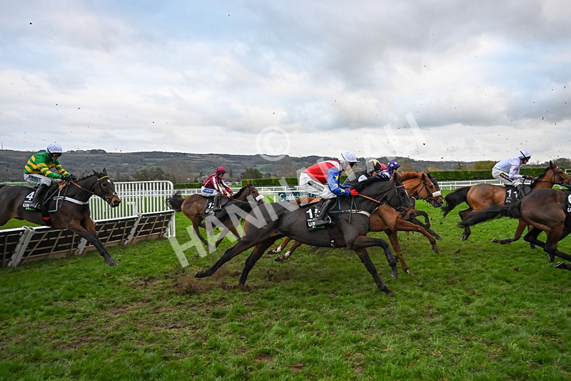 161125-Race 5-Helnwein-6356 - Race 5