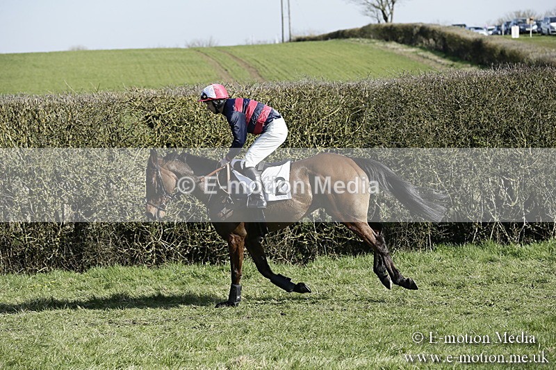 PtP 250317 202 - V.W.H. Hunt Point-to-Point Siddington 25/03/17