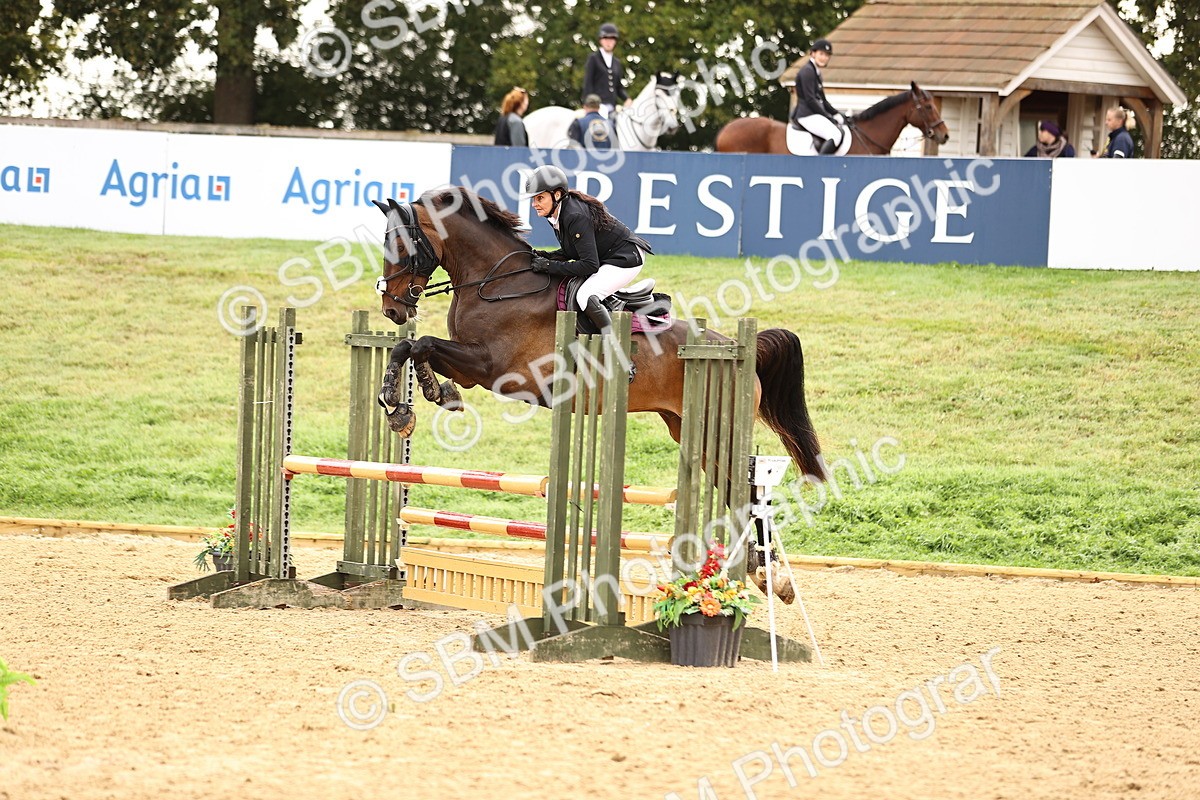 SBM_58550 - J41 - Grand Tour Horse & Pony 95cm