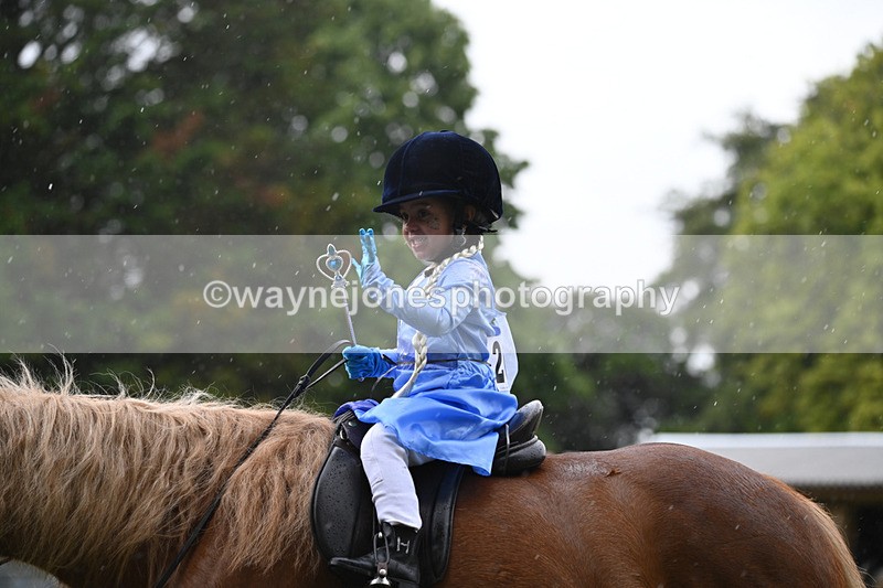 WJ6_9328 - Class 11 Fancy Dress
