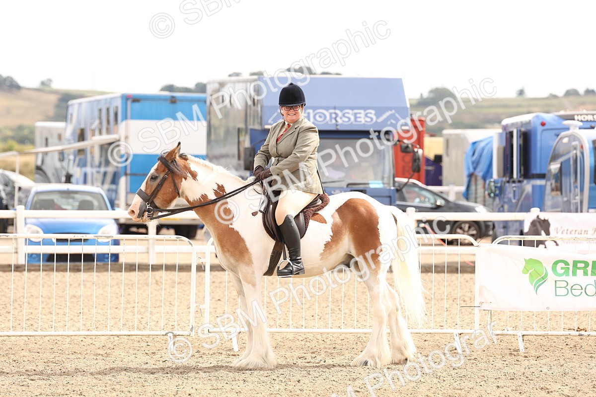 SBM_05211 - Class 56b -  Style & Performance - 50cm (20+)