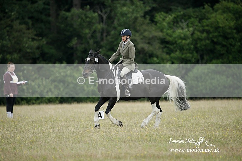 BVRC 030721 376 - Bourne Valley Riding Club Dressage 03/07/21