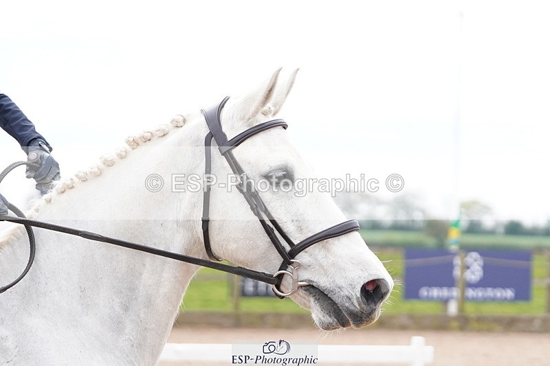 250419-140646-11174 - 714-Tiarna.Falco-AUGHNAKEERAGH.DANNY