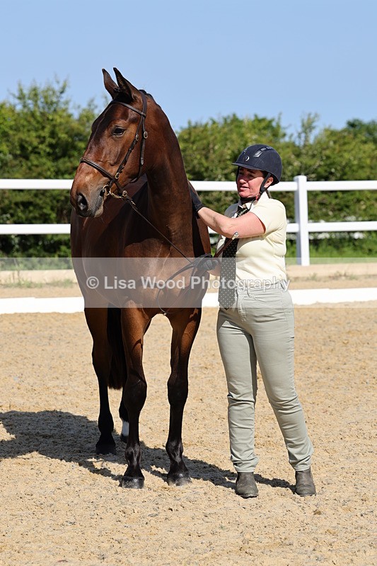 1X9A0809 - Class 4: Youngstock 1, 2, 3 year old to exceed 153cm