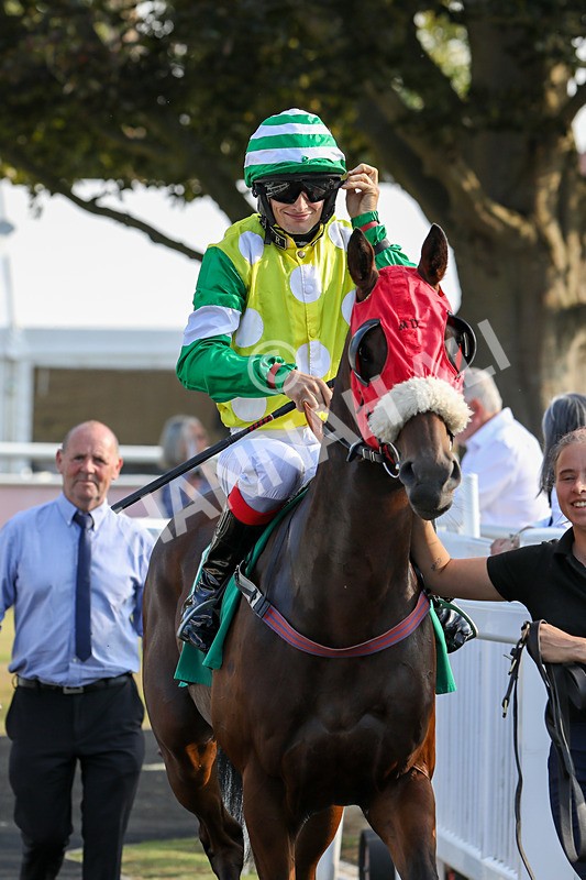 300824-Race 8-Masterpainter-0708 - Race 8