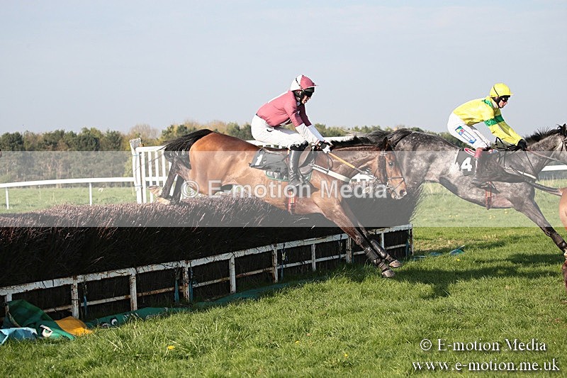 PtP 210418 615 - South & West Wilts Point-to-Point Larkhill 21/04/18