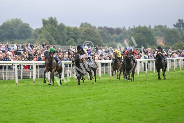 080924-Race 5-Quinault-9287 - Race 5 4.00pm Starman At Tally Ho Stud Garrowby Stakes