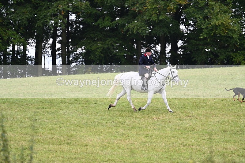 WJ7_4032 - Camera 1 Line 2