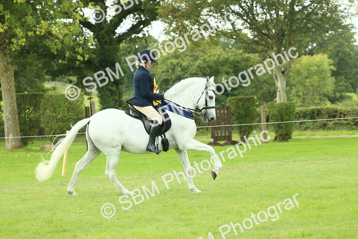 SBM_62558 - S62 - Foreign Breeds Ridden