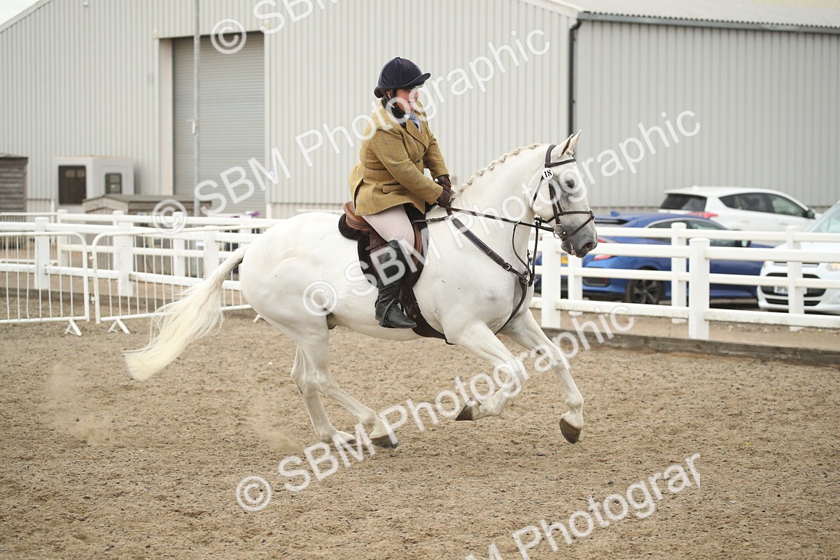 SBM_18444 - Class 510a - Working Veteran 90cm (15-19)