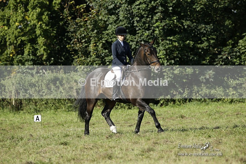 BVRC 120921 139 - Bourne Valley Riding Club UA Dressage & Show Jumping 12/09/21