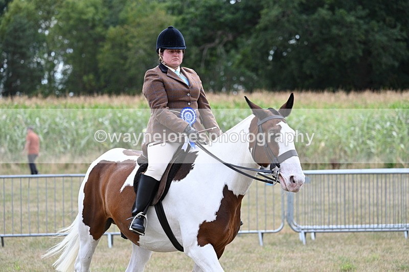 WJ7_5680 - Class 12 Ridden Cob