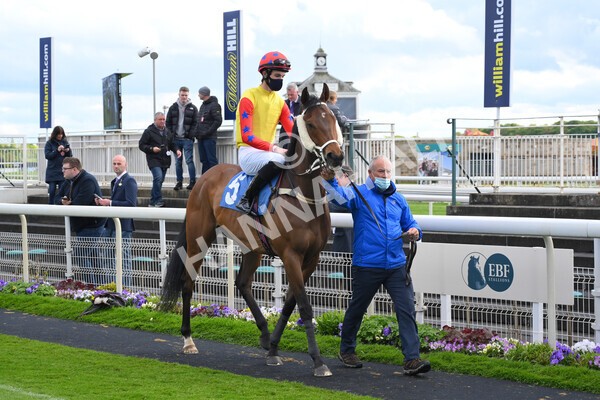 yr22052021r7-11 - Race 7 5.25pm Hudson Quarter York Palace Capital Stakes - Gentleman Amateur Riders Race